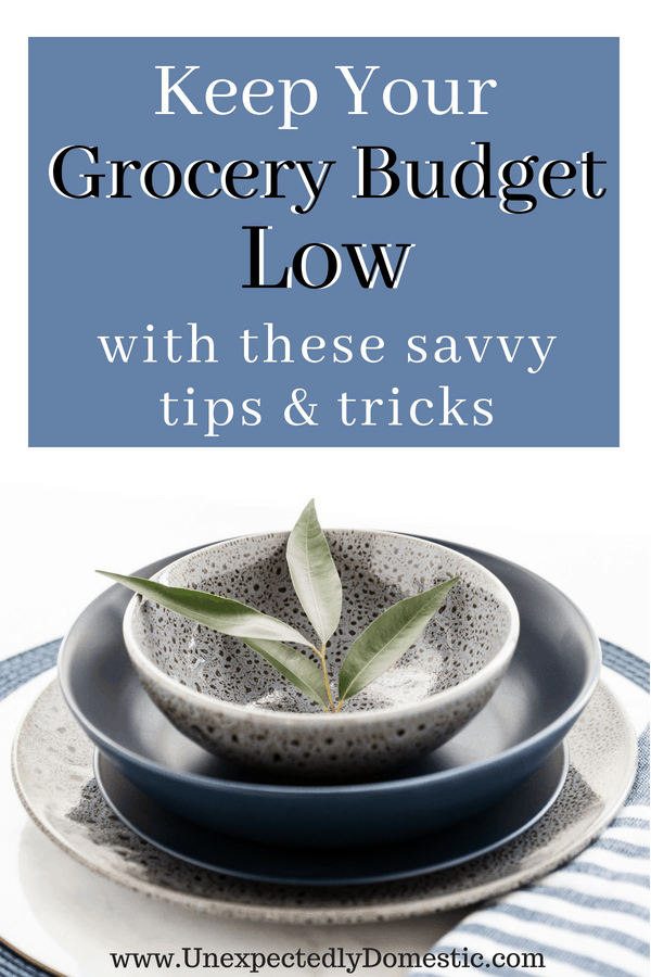 Learn how to keep your grocery budget low with these money saving tips and tricks! Check out the How I Saved Series, where I document how I save each week.
