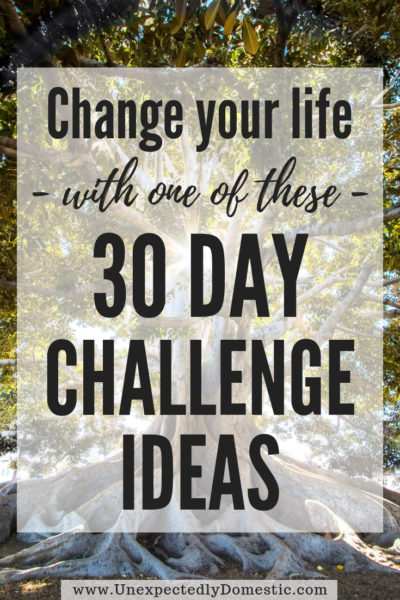100-day-challenge-printable-100-workout-workout-list-workout-at-work