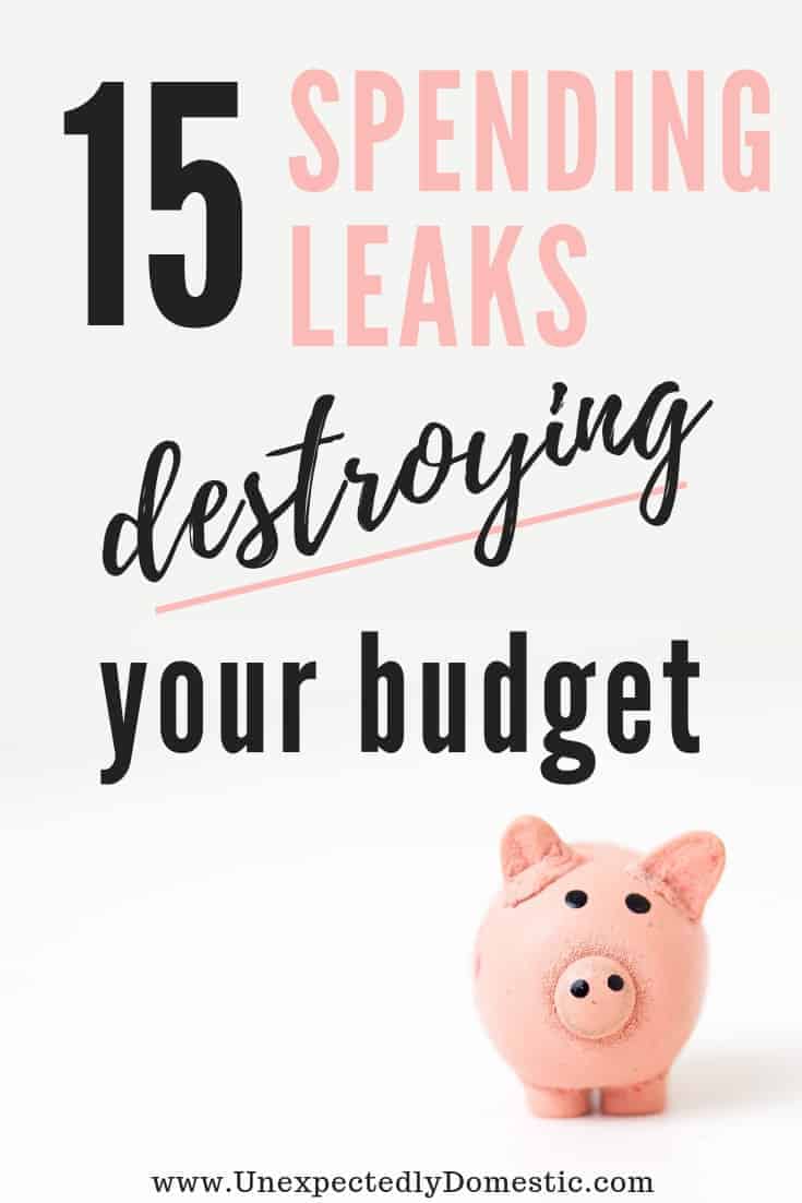 Where Does All My Money Go? 15 Spending Leaks Destroying Your Budget