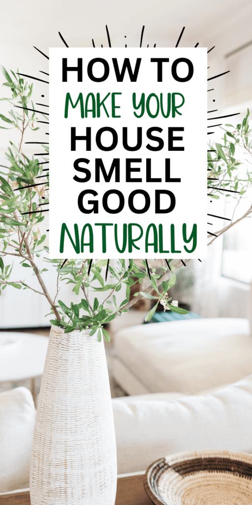How to Keep Your House Smelling Good Always (23 Genius Hacks!)