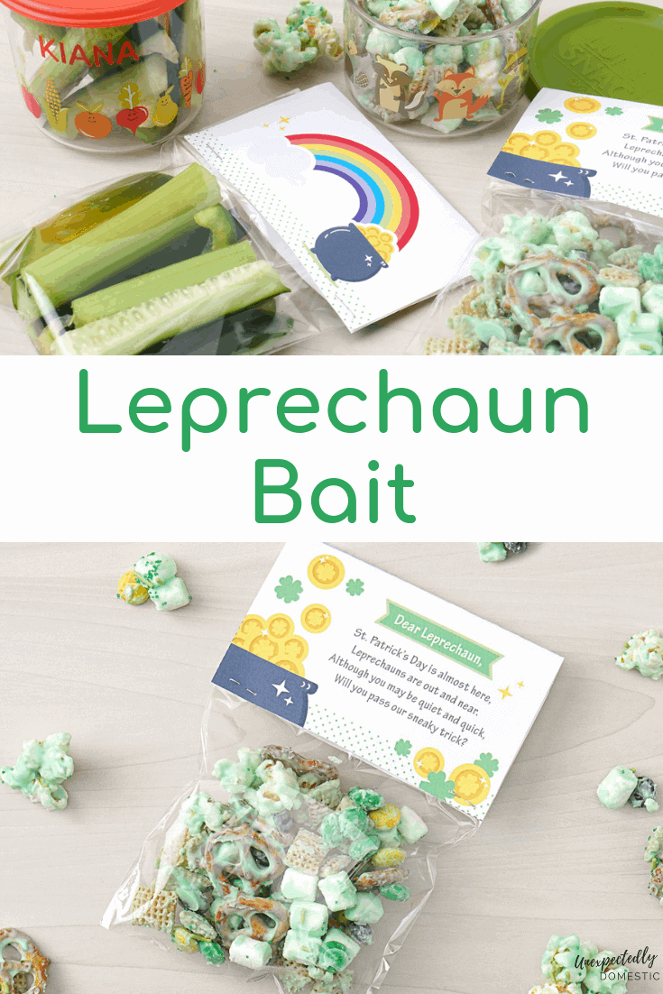 These festive and cute St. Patrick's Day crafts and snack ideas are perfect for kids and adults alike. Trap a leprechaun with these easy to make activities!