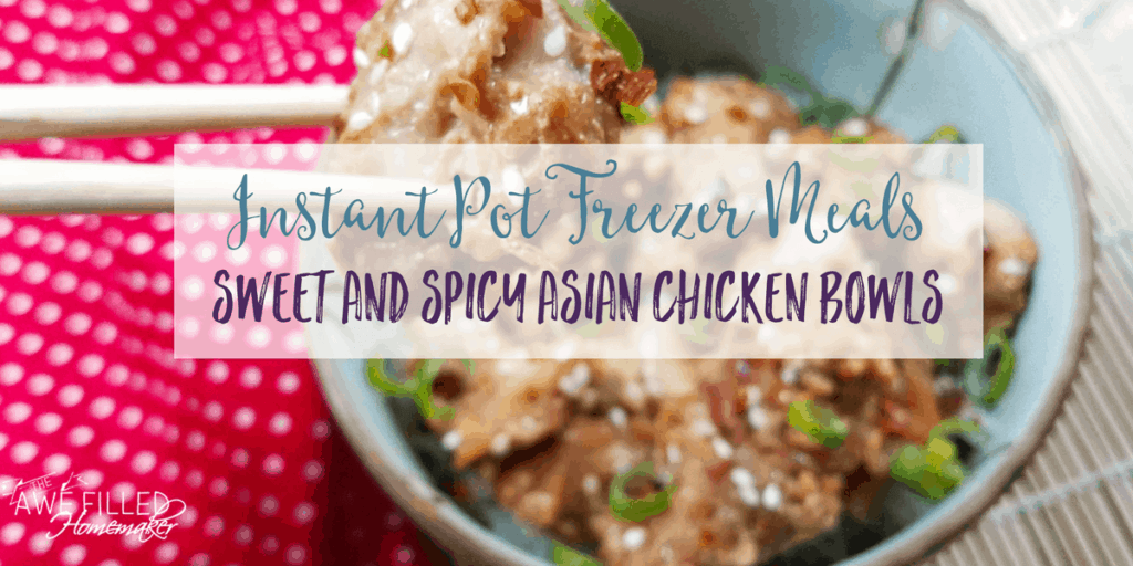 Cheap & Easy Freezer Meals 31 Healthy MakeAhead Dinners on a Budget