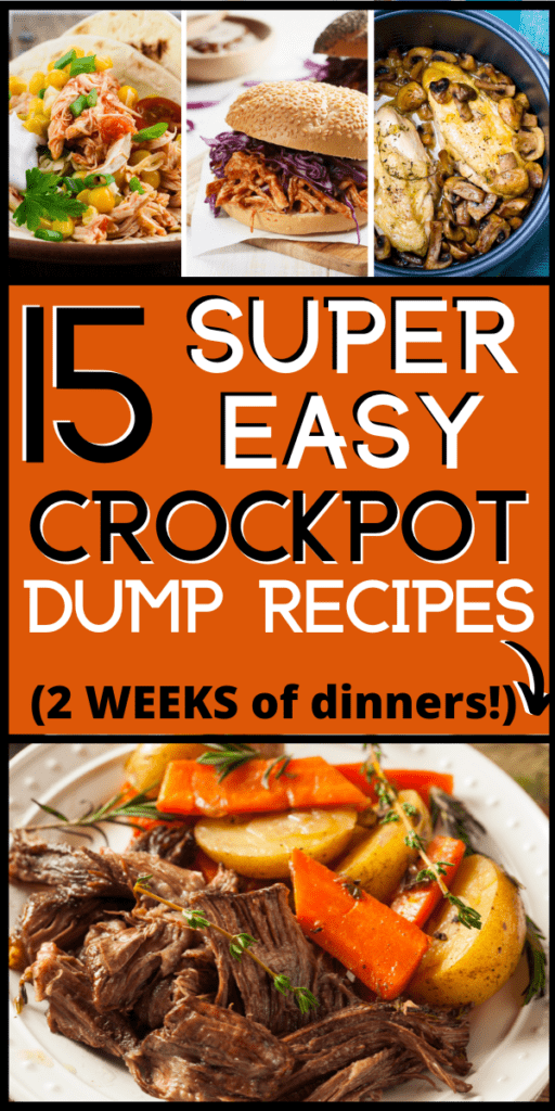 15 SUPER Easy Slow Cooker Dump Meals (all dump and go recipes!)