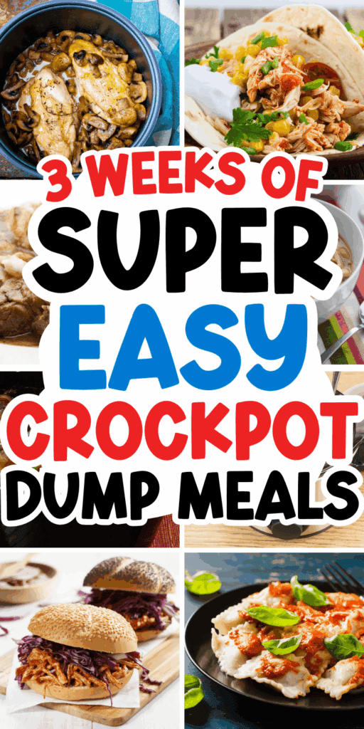 15 SUPER Easy Slow Cooker Dump Meals (all dump and go recipes!)