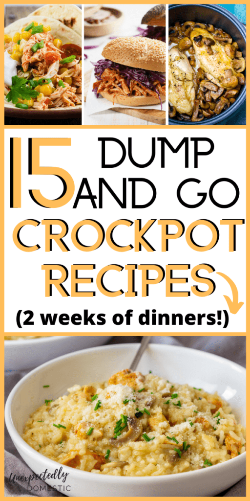 bowl with crockpot dump recipes for dinner