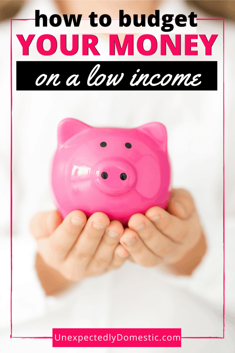 How to Survive on a Low Income – Tips for Living on a Tight Budget