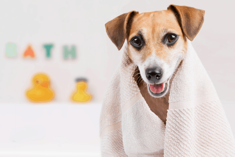 How to Get the Musty Smell Out of Your Towels...once and for all!