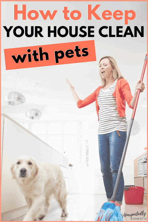 How to Keep Your House Clean with Pets (+ 10 must have items!)