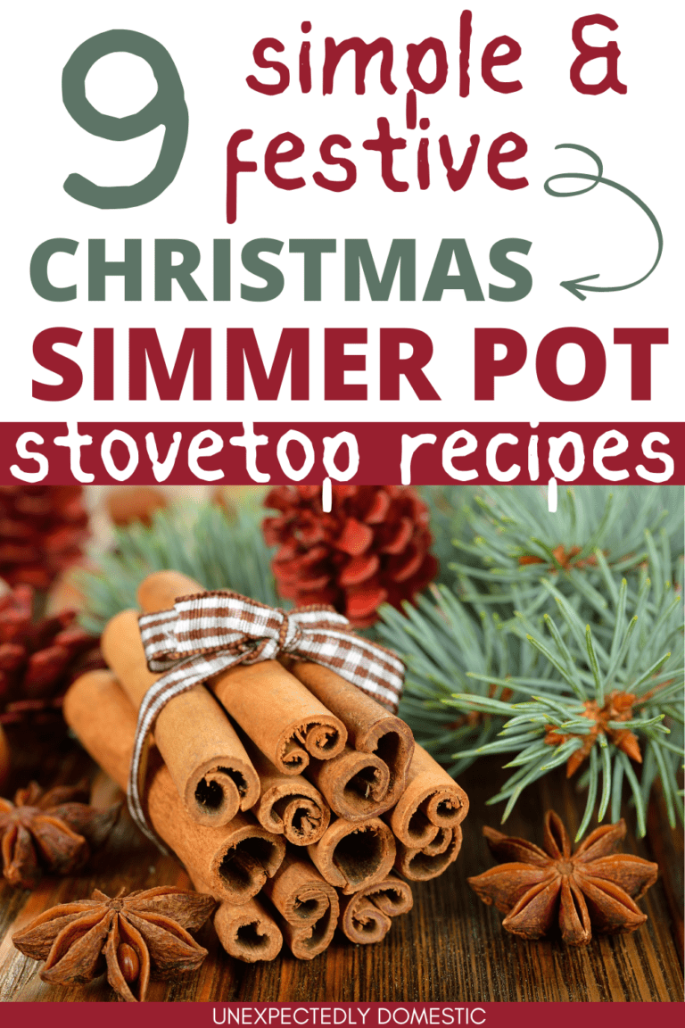 9 BEST Christmas Simmer Pot Recipes: Easy Festive Stovetop Potpourri Ideas