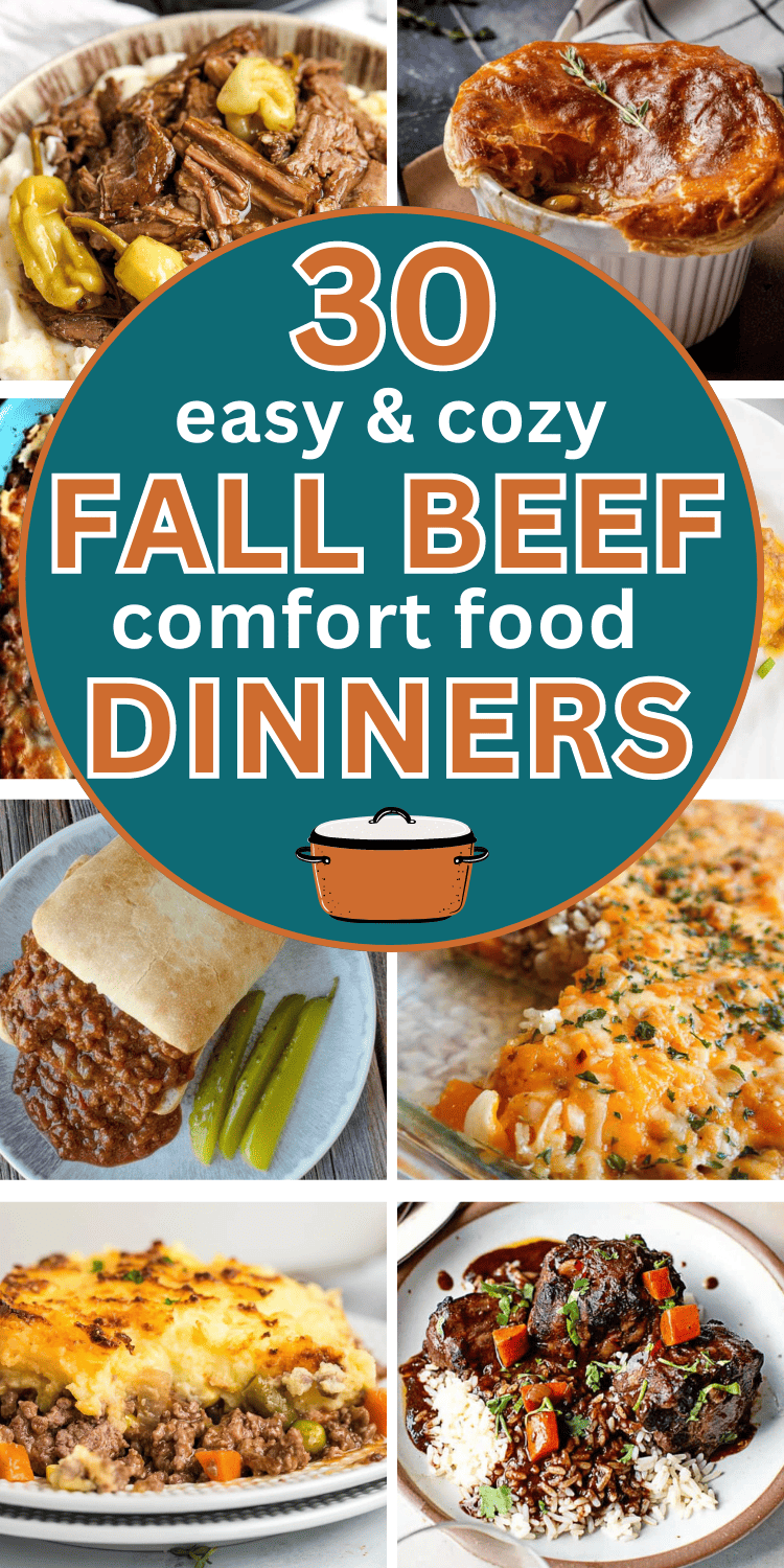 Easy Fall dinner ideas with beef! These cozy fall dinner recipes beef, fall dinner recipes easy beef, easy fall dinner ideas beef, fall sunday dinner ideas, fall family dinner ideas ground beef, quick fall dinner ideas, fall dinner ideas ground beef, fall dinner recipes healthy beef, beef meals easy dinners, beef recipes for dinner main dishes meat families, food recipes for dinner beef easy, ground beef recipes for dinner easy fast comfort foods, what can i make with ground beef, fall dinners.
