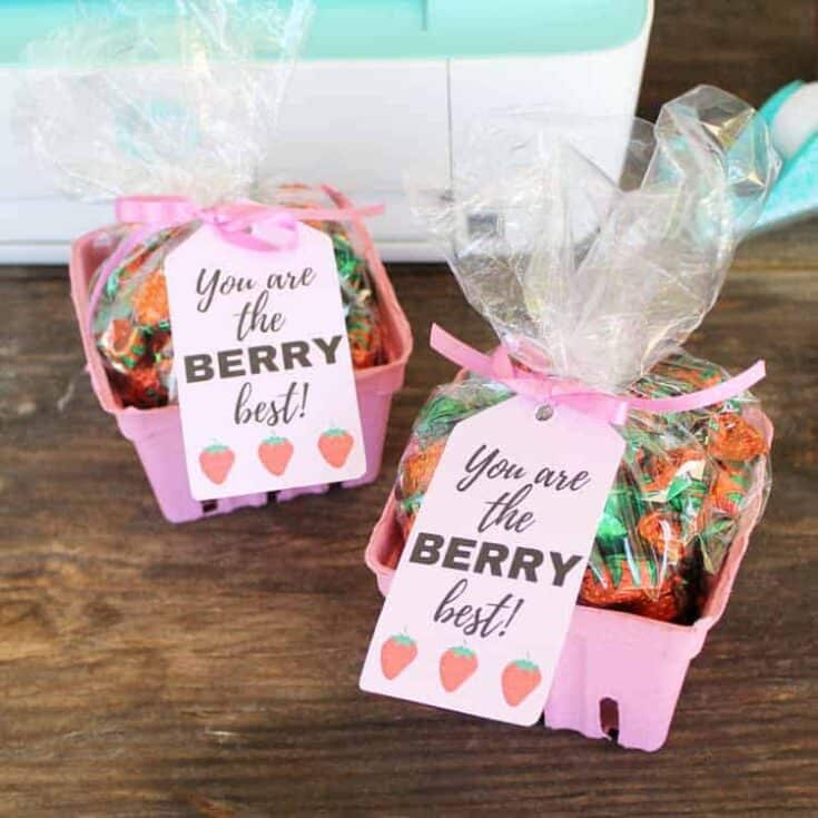Image for 'The Berry Best!' (First Day Of School Teacher Gift)