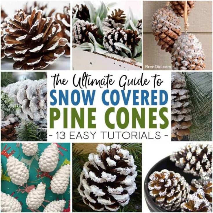 Image for Snow Covered Pine Cones (13 ways)