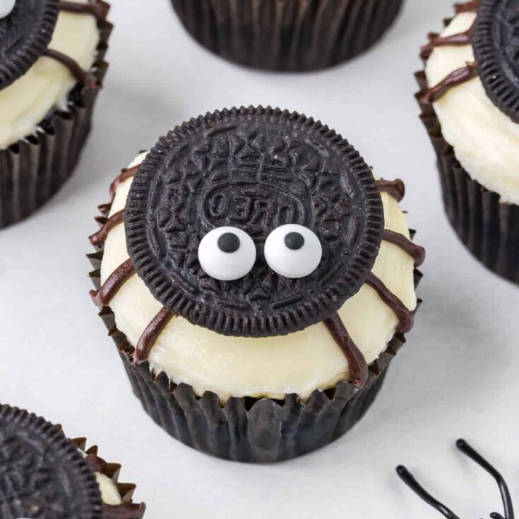 Image for Spider Cupcakes