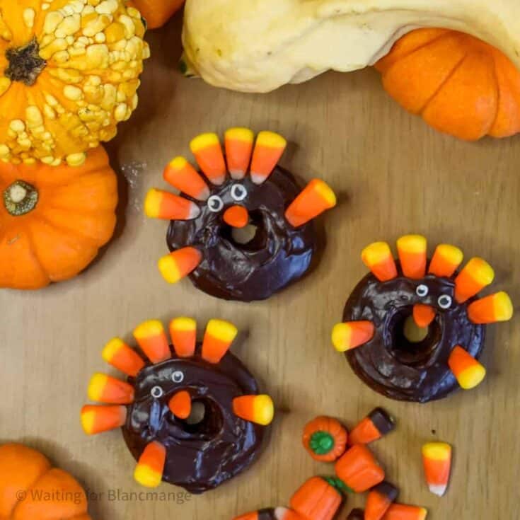 Image for Turkey Donuts