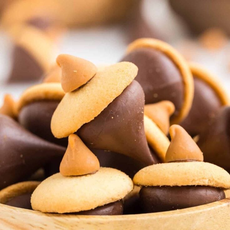 Image for Easy Acorn Cookies