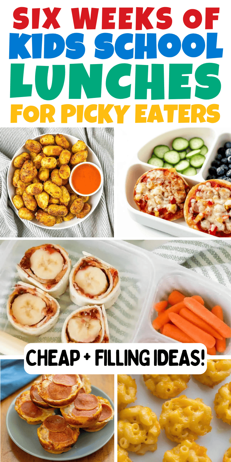Easy kids lunch ideas for school! How to make kid-friendly lunches they’ll actually eat! These school lunch box ideas include non sandwich lunches, bento box lunch ideas and healthy cold school lunches for picky eaters. Packed School Lunch Ideas For Kids, Ideas For Kids' Lunch Packing, Preschool Friendly Lunches, Kid approved meals, Cold Lunchbox Ideas For Kids, Lunch Ideas Kids, back to school lunch ideas, Kids Lunchables Lunchbox Ideas, school lunch ideas aesthetic, school lunch snacks, picky eater lunch easy, Simple School Lunches For Kids, Packed Lunches For Kids, Cold School Lunches, Kid Lunch Ideas For Picky Eaters, On The Go Lunches For Kids, Bento School Lunch Ideas For Kids, Bento Style Lunch Ideas, School Lunches For Kindergarten, Picky Eater Kids Lunch Ideas, Lunch Box Ideas.