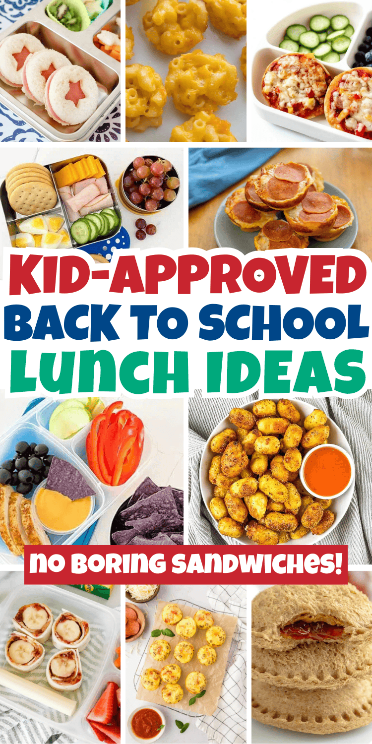 Easy kids lunch ideas for school! How to make kid-friendly lunches they’ll actually eat! These school lunch box ideas include non sandwich lunches, bento box lunch ideas and healthy cold school lunches for picky eaters. Packed School Lunch Ideas For Kids, Ideas For Kids' Lunch Packing, Preschool Friendly Lunches, Kid approved meals, Cold Lunchbox Ideas For Kids, Lunch Ideas Kids, back to school lunch ideas, Kids Lunchables Lunchbox Ideas, school lunch ideas aesthetic, school lunch snacks, picky eater lunch easy, Simple School Lunches For Kids, Packed Lunches For Kids, Cold School Lunches, Kid Lunch Ideas For Picky Eaters, On The Go Lunches For Kids, Bento School Lunch Ideas For Kids, Bento Style Lunch Ideas, School Lunches For Kindergarten, Picky Eater Kids Lunch Ideas, Lunch Box Ideas.