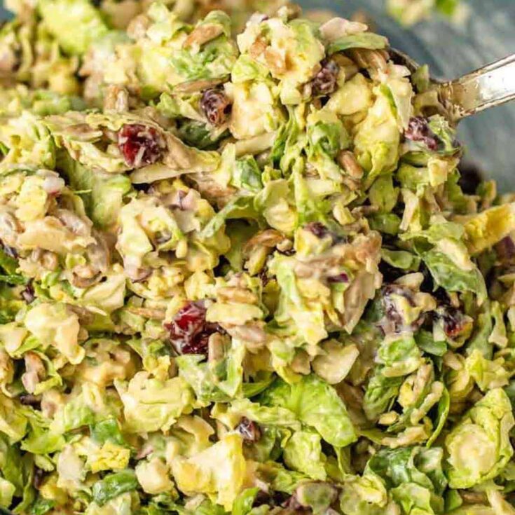 Image for Brussels Sprouts Cranberry Salad