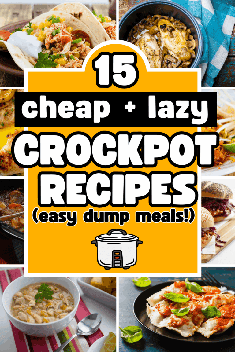 15 Cheap Lazy Dinners in the Crockpot (easy dump and go recipes!)