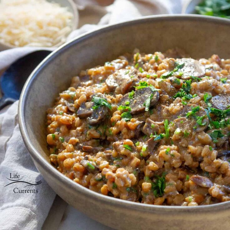 Image for Mushroom Farro