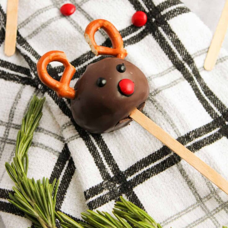 Image for Reindeer Cake Pops