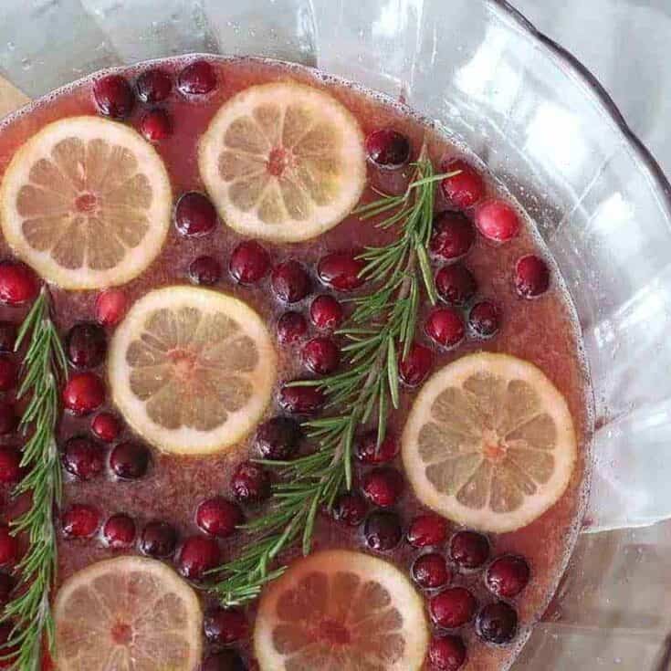 Image for Cranberry Citrus Christmas Party Punch