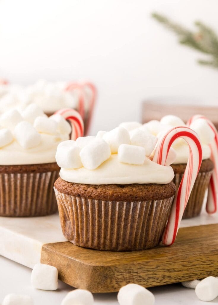 Image for Hot Chocolate Cupcakes