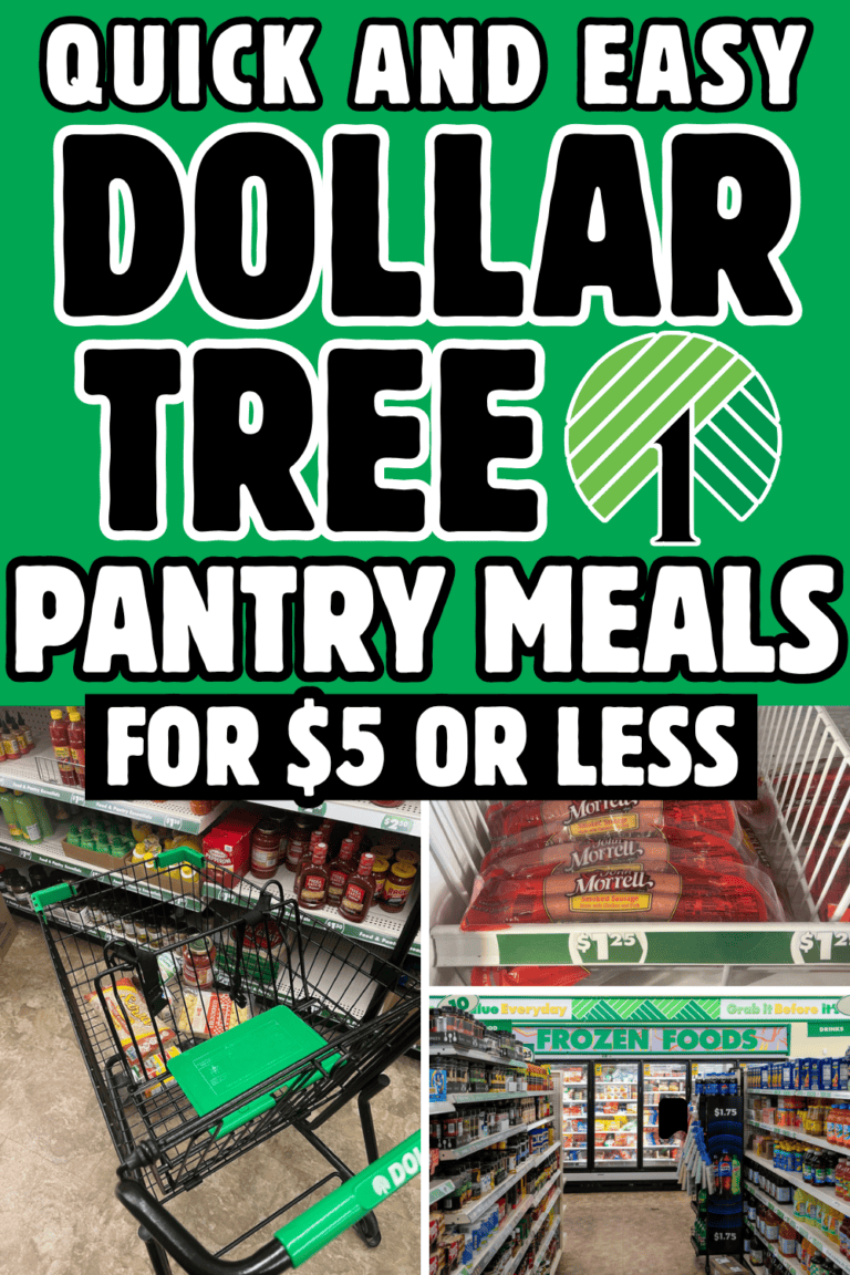 7 Dollar Tree Pantry Meals to Stretch Til Payday