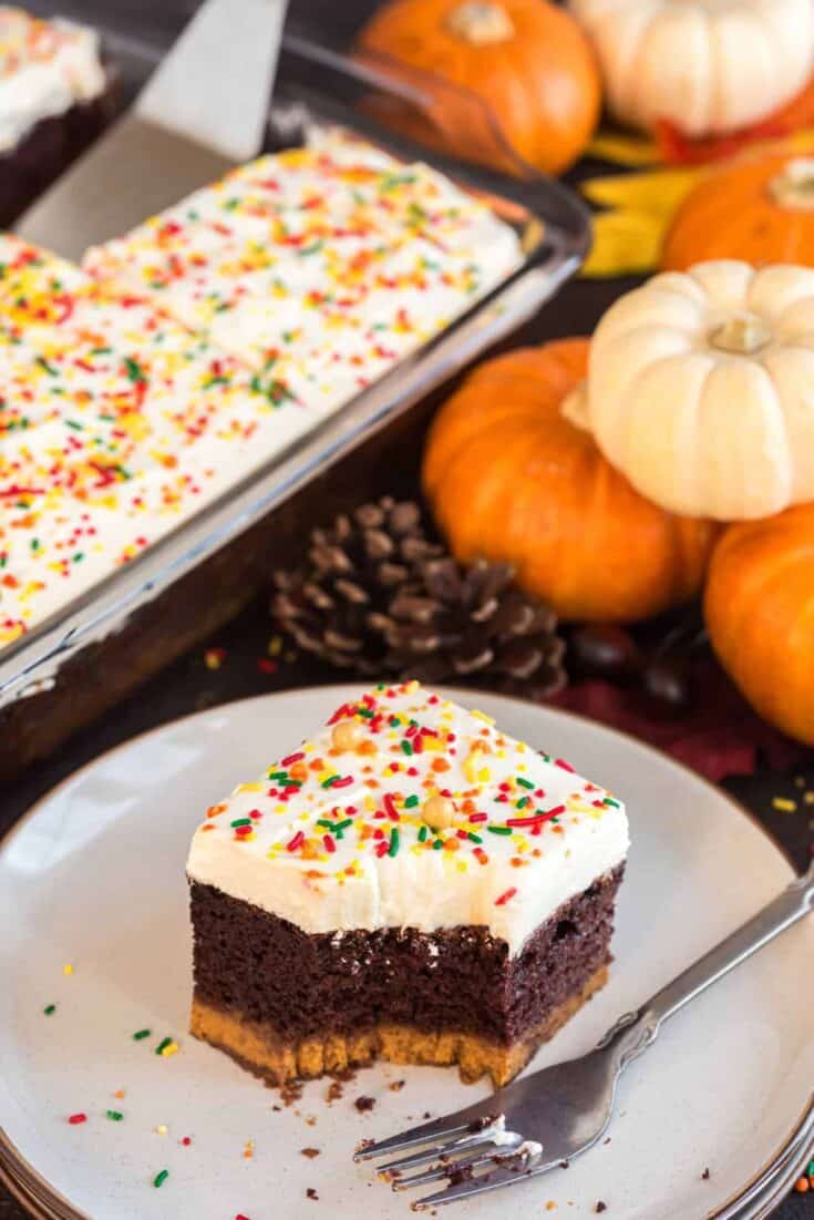 Image for Chocolate Pumpkin Magic Cake