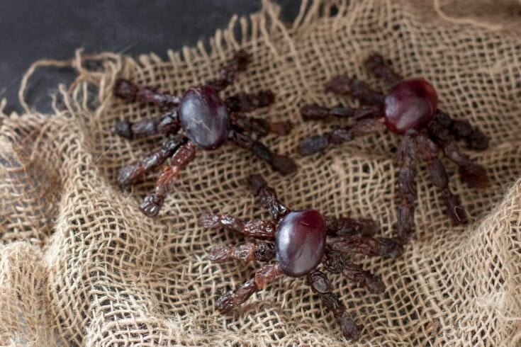Image for Spooky Fruit Spiders